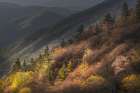 Sunrise, Oconaluftee Valley, Great Smoky Mountains National Park, North Carolina Art Print